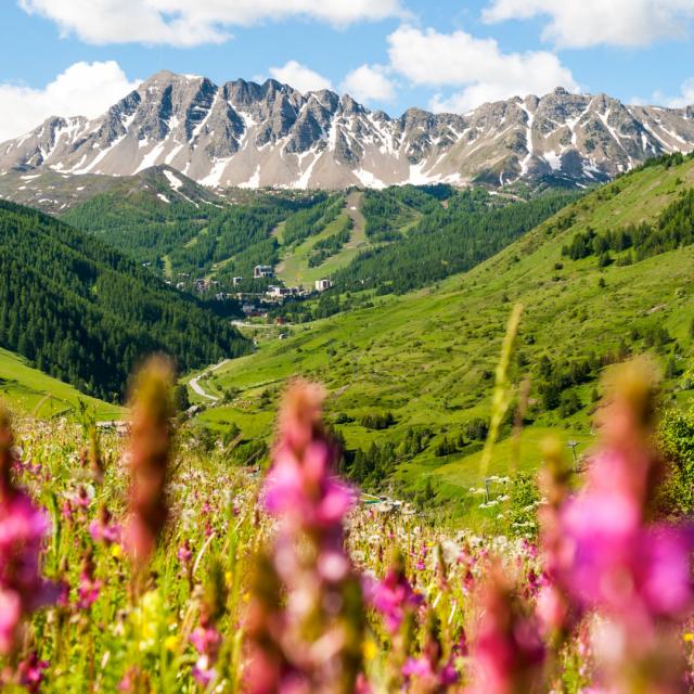 Vallée de Vars