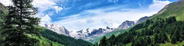 Vallon De Lauzanier