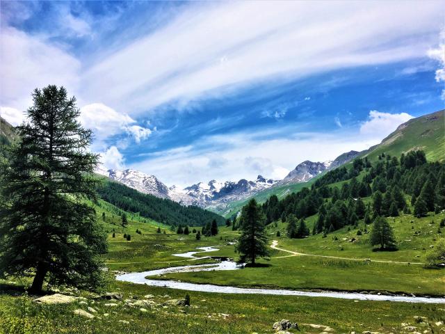 Vallon De Lauzanier