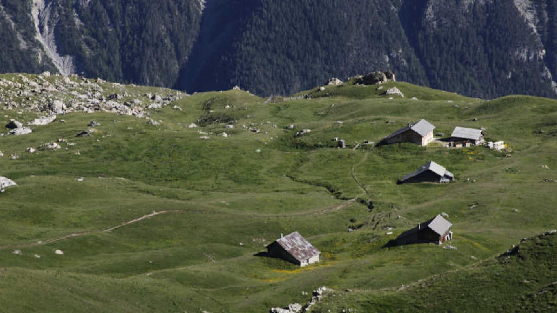 Lapeyre - Sur Les Traces D'Hannibal à Travers Le Queyras - Hautes-Alpes - 1982 - Édition Originale