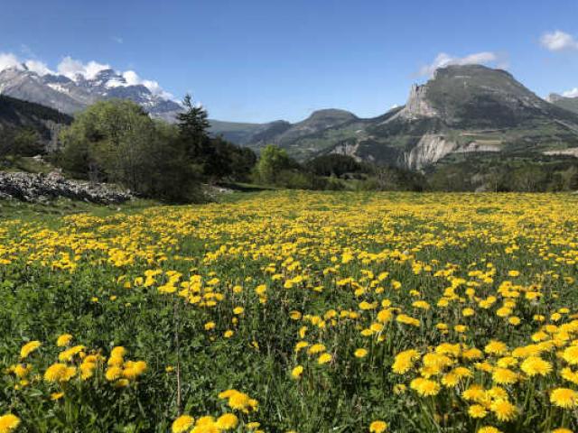 Bon Plan Devoluy Alpes Blapeyre