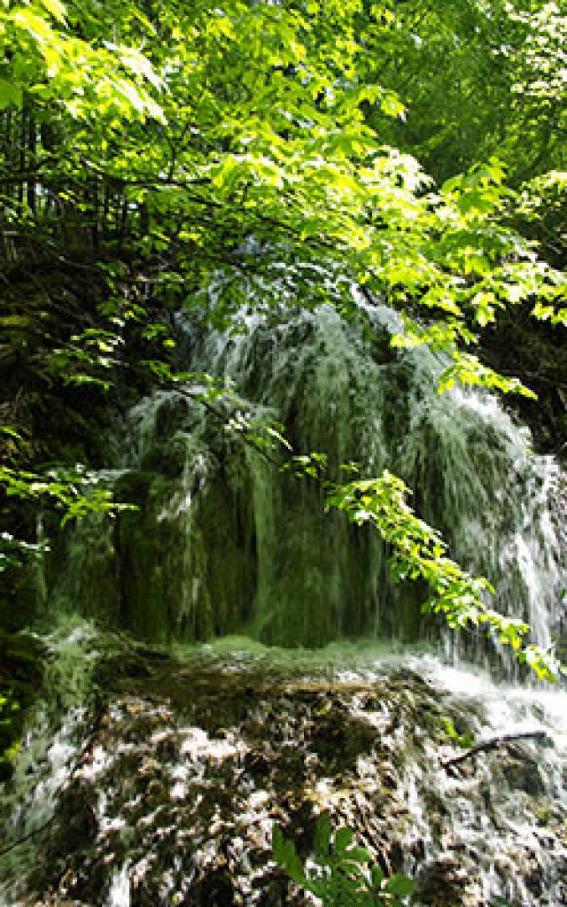 Cascade Saint Pons Gemenos Btriffaux