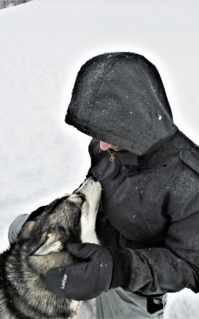Chiens De Traineau Crevoux Alpes Mdi Duca 9