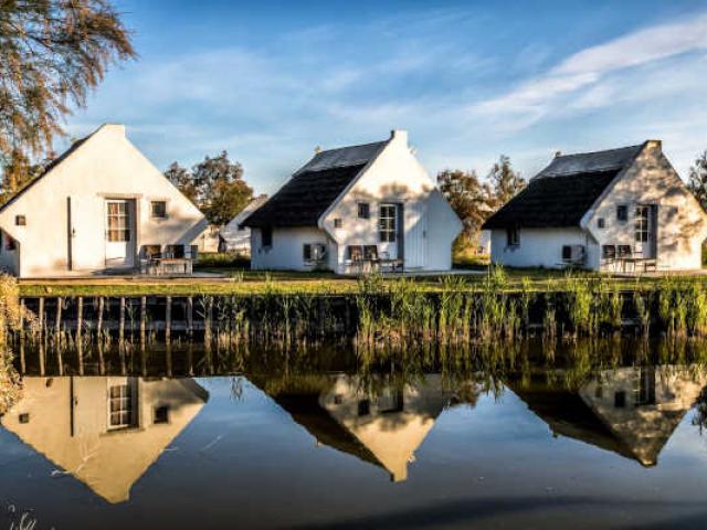 Domaine Exterieur Camargue Auberge Cavaliere Du Pont Des Bannes 2 Seminaire Auberge Cavaliere