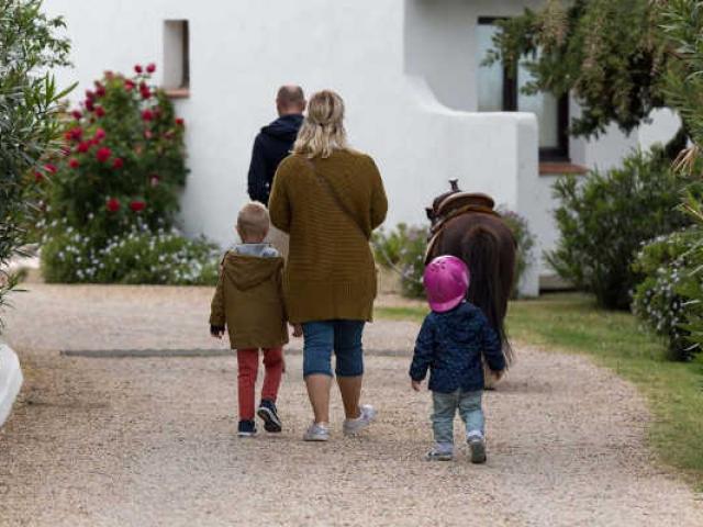 Ecuries Chevaux Camargue Auberge Cavaliere Du Pont Des Bannes Auberge Cavaliere