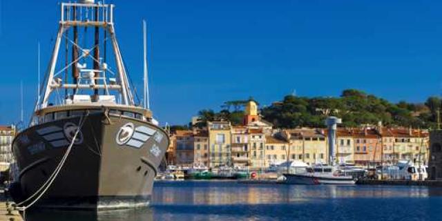 Mouton Saint Tropez Paca