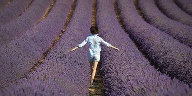 Provence Paca F Ecochard 557x400 1