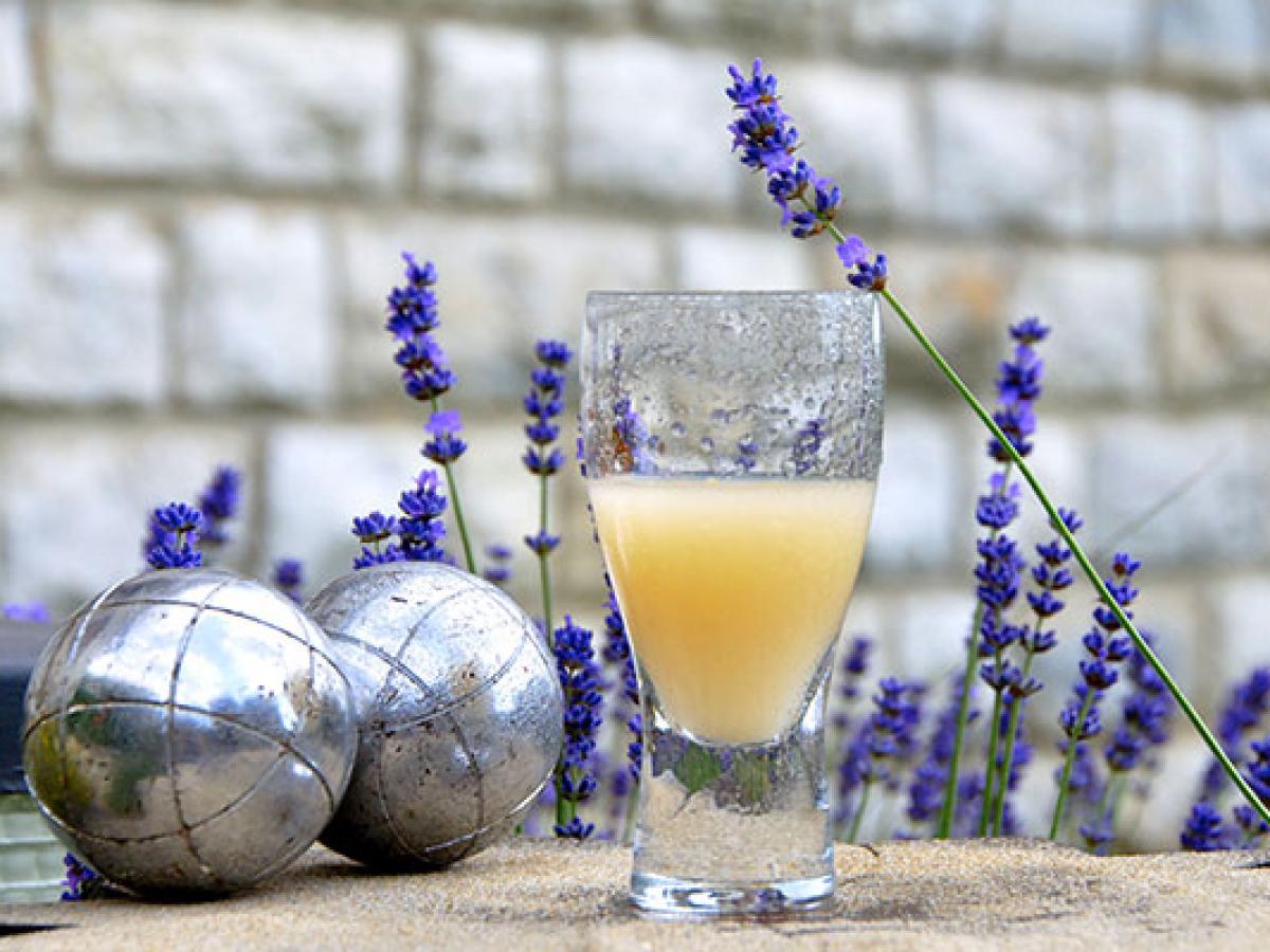 The history of pétanque, the famous game of Provence
