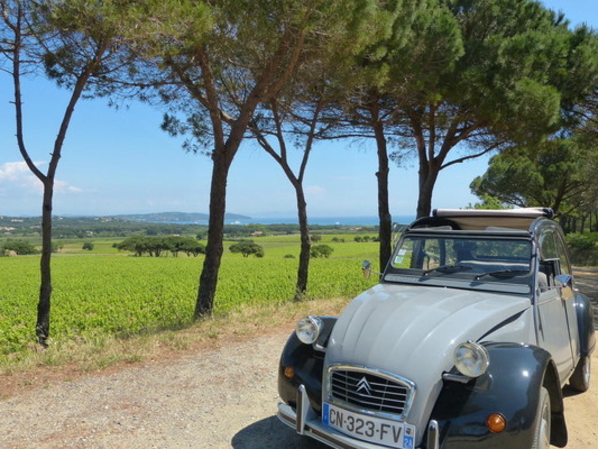 How to Get to Provence? Our transportation guide to help plan your trip