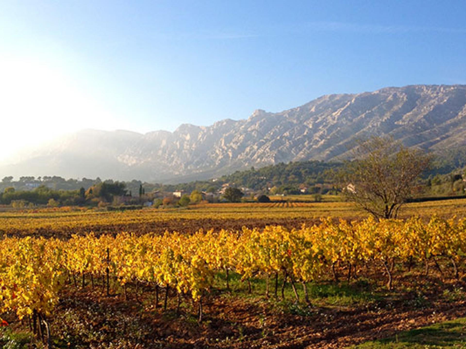 Where to find the best hikes in Provence Our top three picks