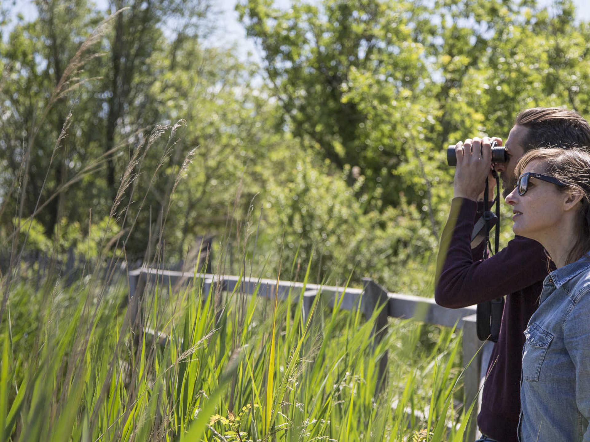 Get Inspired | Provence-Alpes-Côte d'Azur Tourism