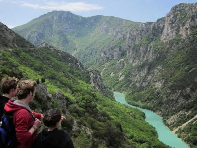 gorges-verdon-paca-meconomides-1.jpg