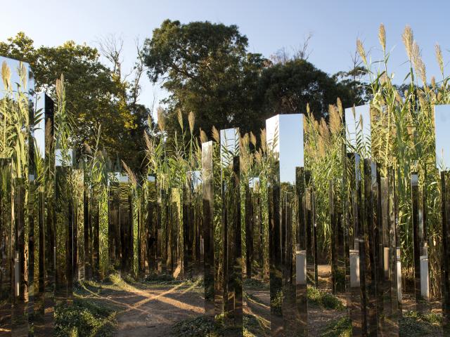 jeppe-hein-fondation-carmignac-1.jpg