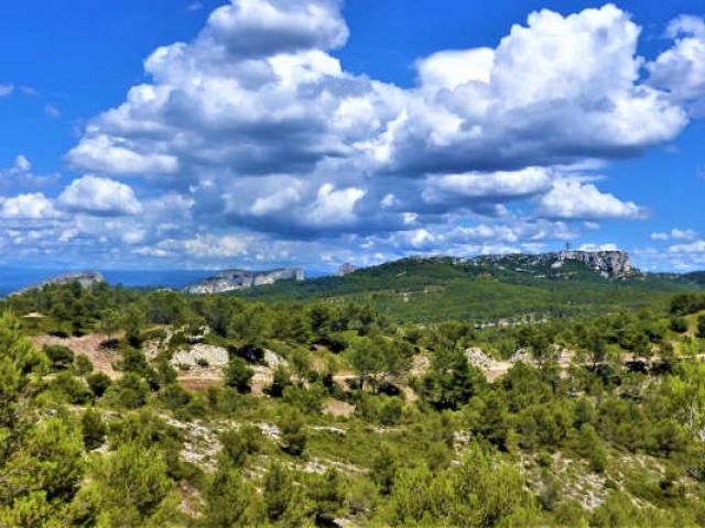 pnr-alpilles-r-serange-pnra-1.jpg