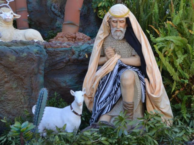 berger-agneau-noel-tradition-provence.jpg