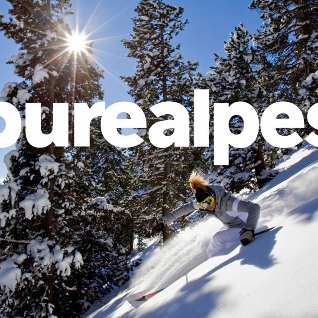 Paca Pure Alpes