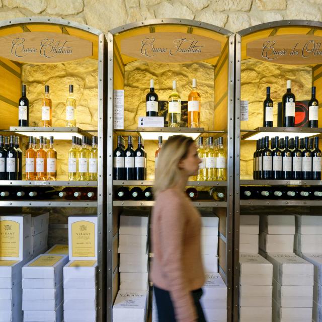 Visite Cave Domaine Vin Paca Jcabanel