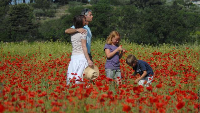 Fleur, printemps, famille, nature, balade