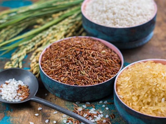 Green rice ears from Camargue Provence, France rice fields and valiety of dried rice on wooden table