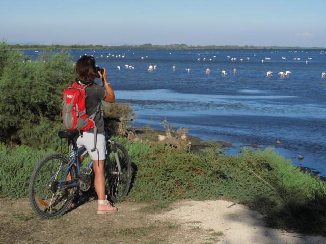 Etang de Vaccarès