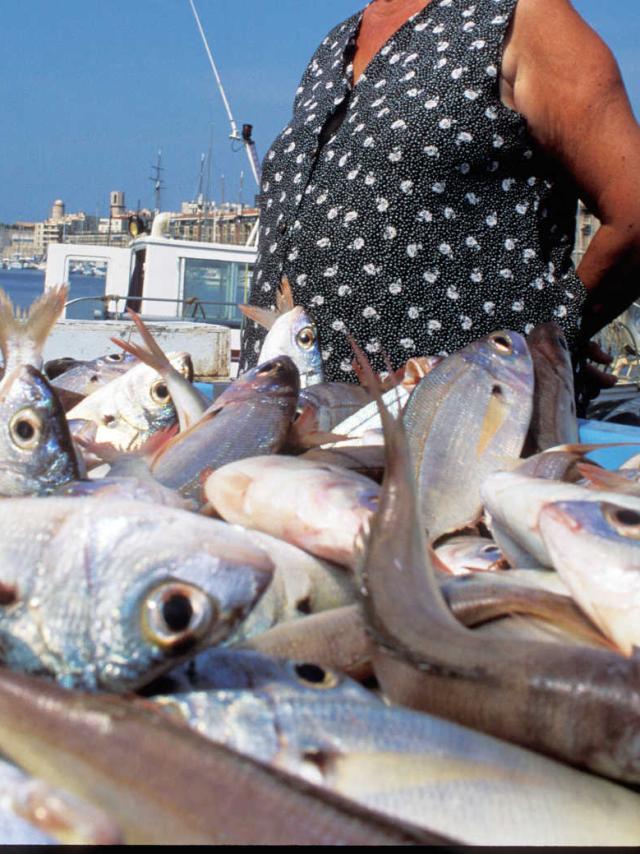 Marche Poissons Marseille