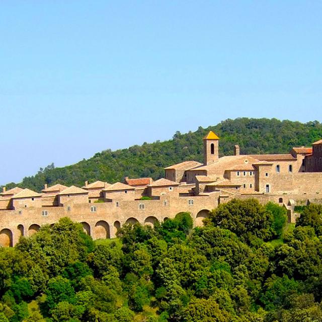 Chartreuse De La Verne