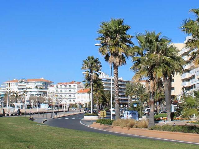 Saint Raphael