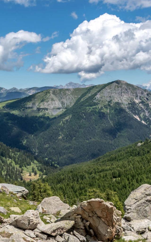 Parc Mercantour