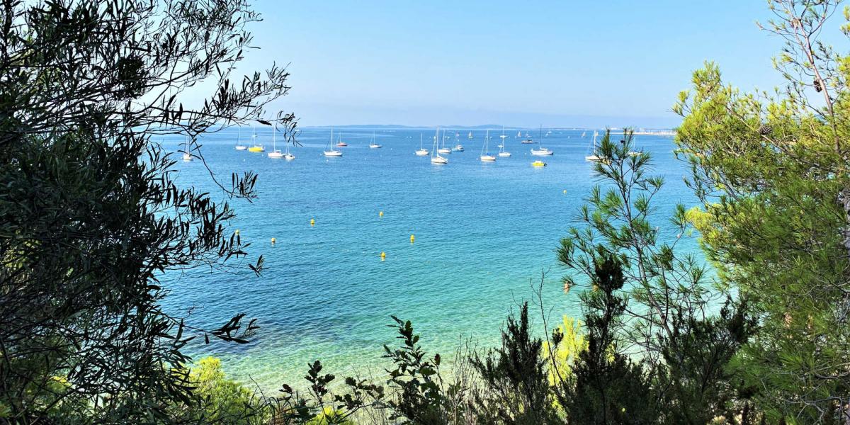 En région Sud, un premier bilan positif à la misaison estivale