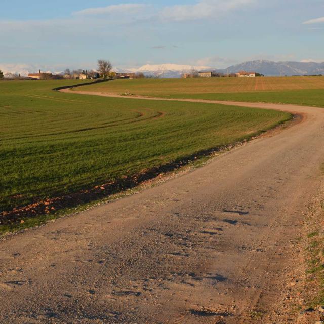 draille-valensole-maison-de-la-transhumance-1.jpg