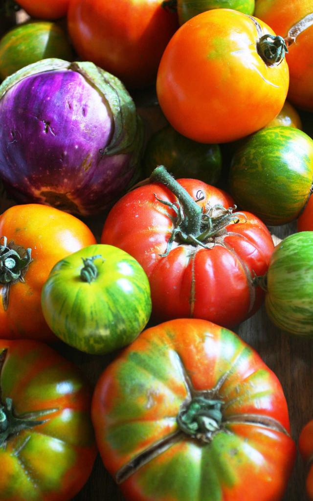 fruits-legumes.jpg