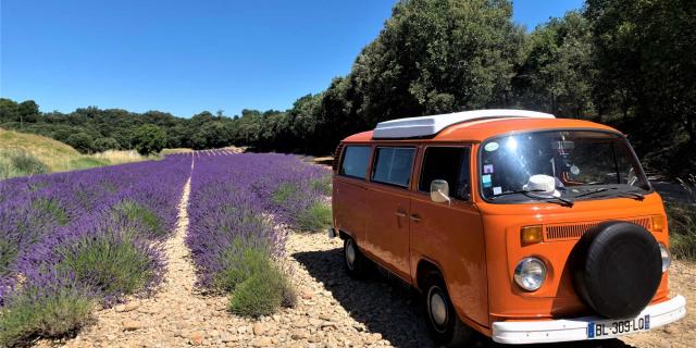 Van Lavande Provence Lchovelon