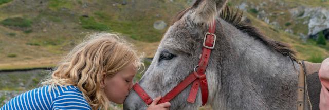 Ane Ferme Pedagogique Alpes