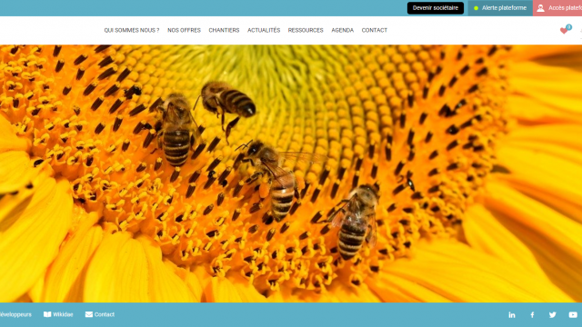 Site Apidae