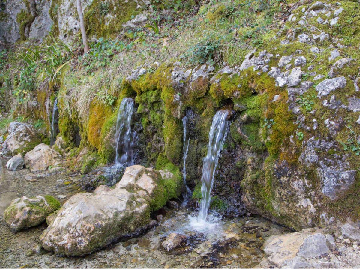 Top 8 walks for a different angle on the Ventoux Regional Nature ...