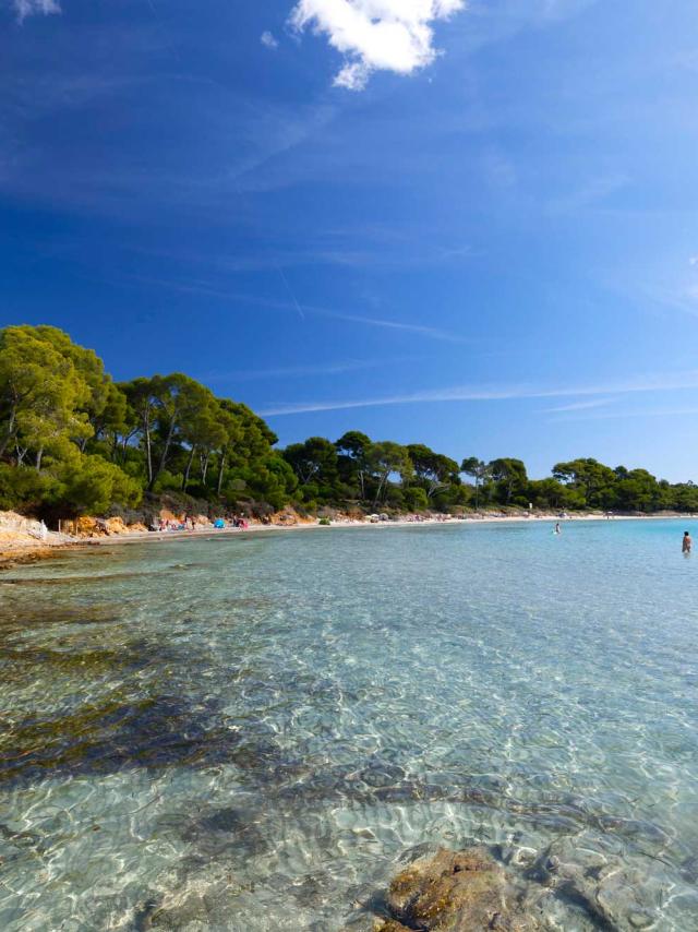 Plage Estagnol Bormeslesmimosas Var Jcabanel