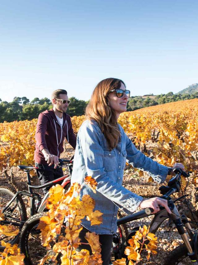 Balade à vélo, Vallée Du Rhône Mont Ventoux