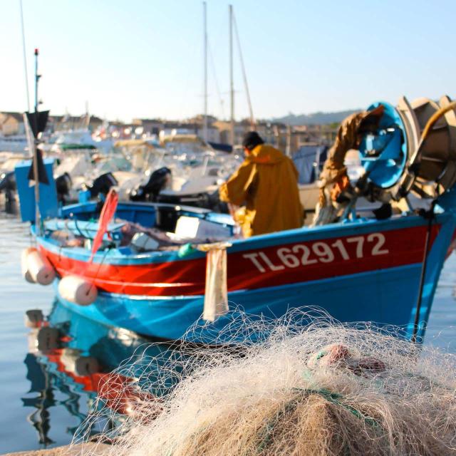 Pecheurs-Saint-Tropez-Marchandc.jpg