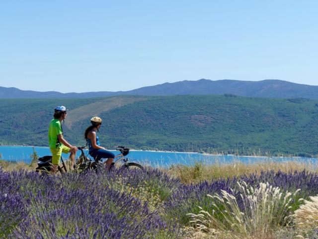 Balade à vélo électrique dans les champs de lavande, Sainte-Croix du Verdon