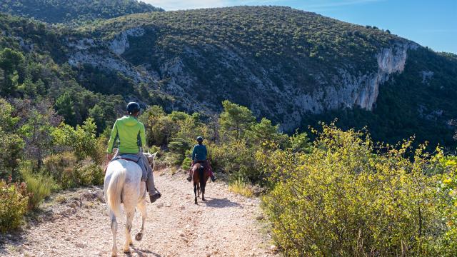 Balade A Cheval Saint Jurs En Automne