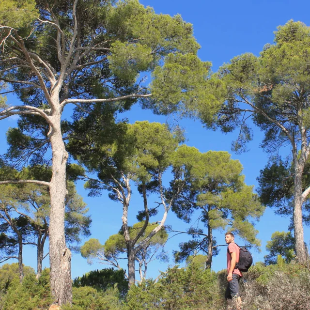 Randonneur sur la plage de l'Estagnol à Bormes-les-Mimosas en été