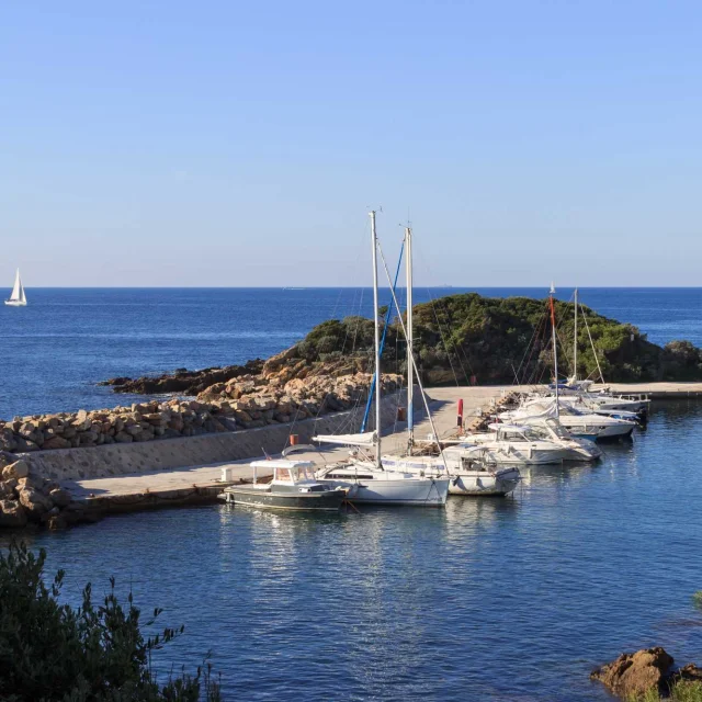 top-des-ports-les-plus-pittoresques-de-m-diterran-e-provence-alpes
