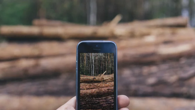 Smartphone en forêt