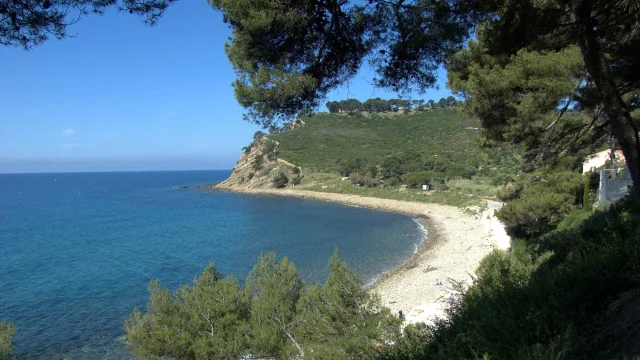 View between the trees of the deserted Coudoulière beach on the Saint-Mandrier peninsula
