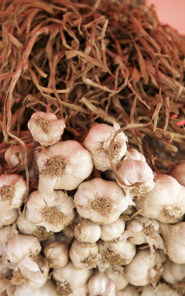 gastronomie_epices15_ail_-_credit_irt_-_emmanuel_virin-e1594630471281.jpg