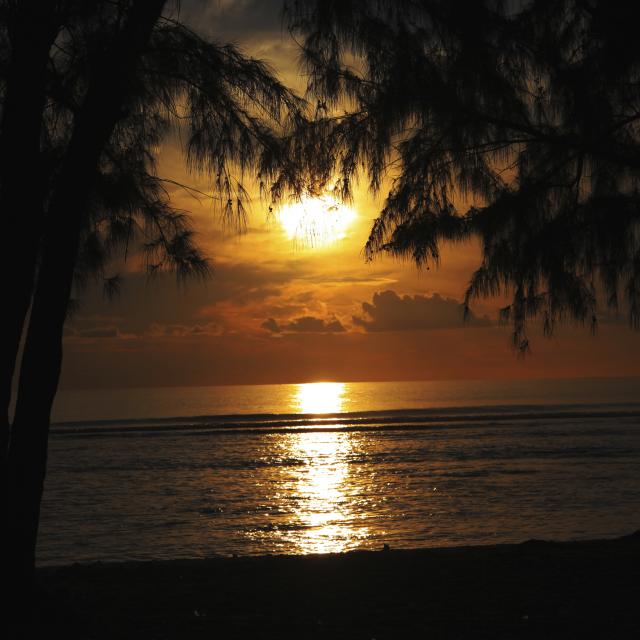 Coucher de soleil