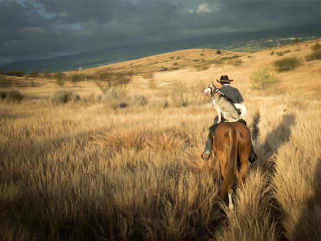equitation43_-_credit_irt_-_miles_and_love_dts_05_2019.jpg