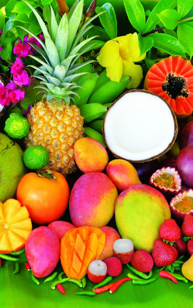 fruits25_-_credit_irt_-_serge_gelabert_dts_12_2015.jpg