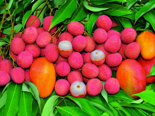 Letchis de La Réunion