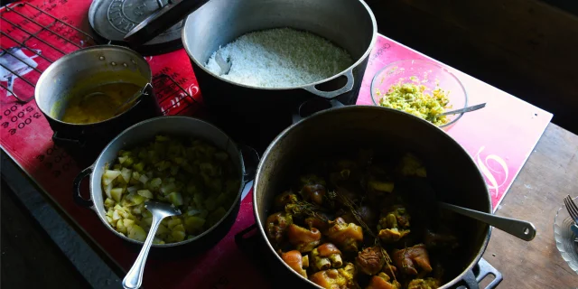 gastronomie_plats31_-_credit_irt_-_serge_gelabert_dts_12_2019.jpg